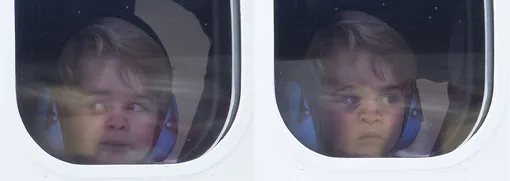 Fotodom / Rex Features