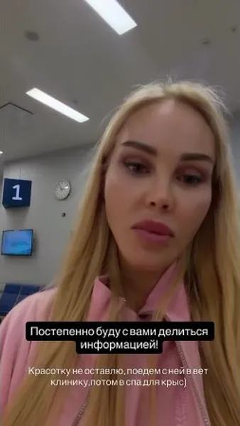 Нажми и смотри Нажми и смотри