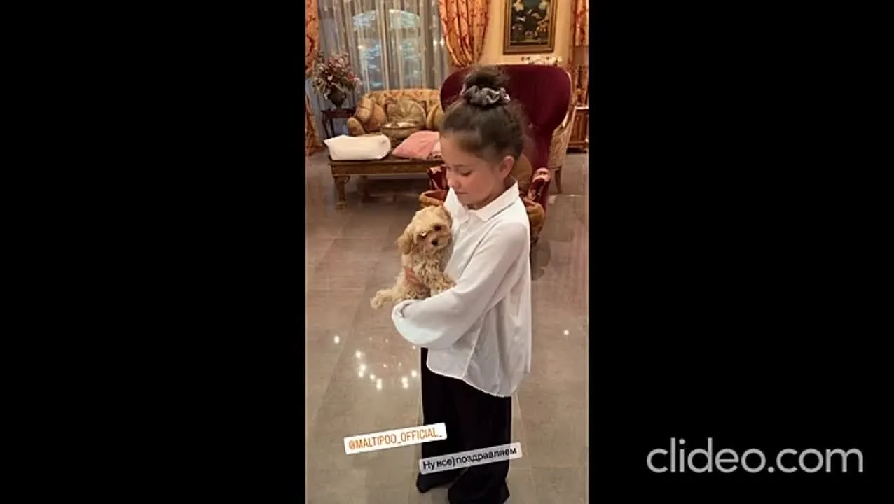 Нажми и смотри Нажми и смотри
