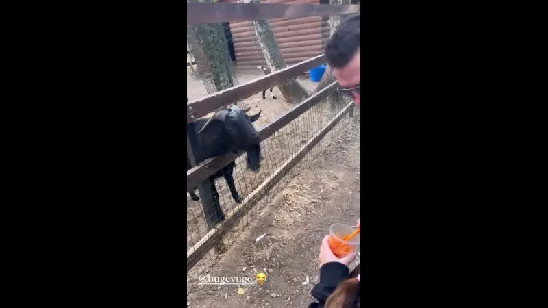 Нажми и смотри