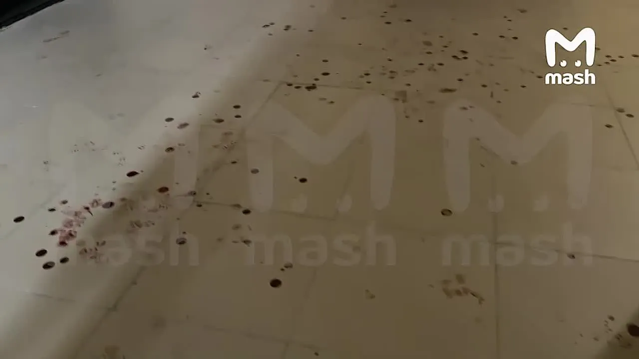 Нажми и смотри Нажми и смотри