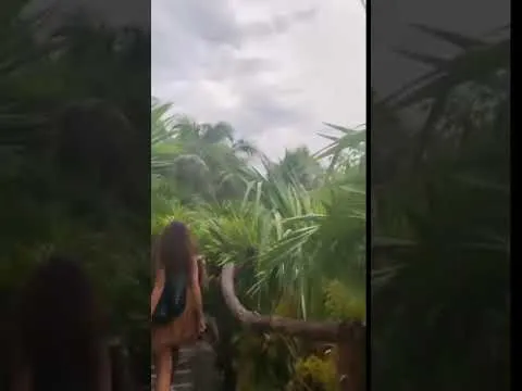 Нажми и смотри
