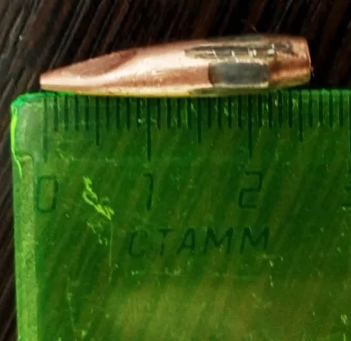 Пуля, которая попала в спину Дмитрия Сараева Пуля, которая попала в спину Дмитрия Сараева