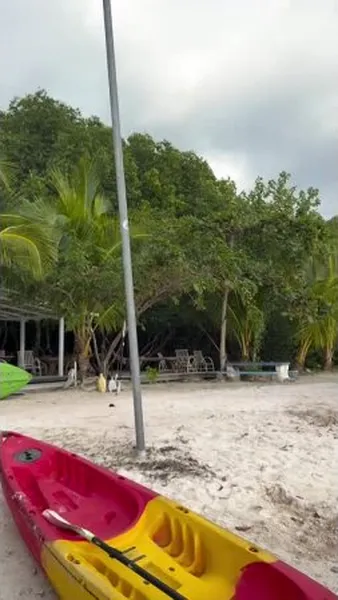 Нажми и смотри