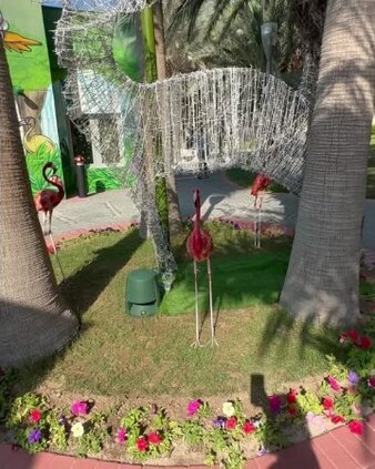 Нажми и смотри