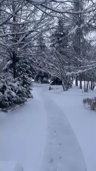 Нажми и смотри