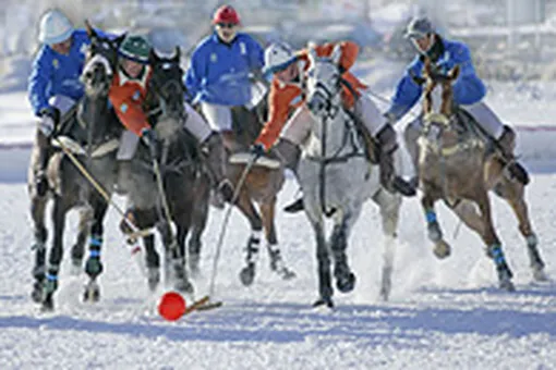 Необычные зимние виды спорта Необычные зимние виды спорта