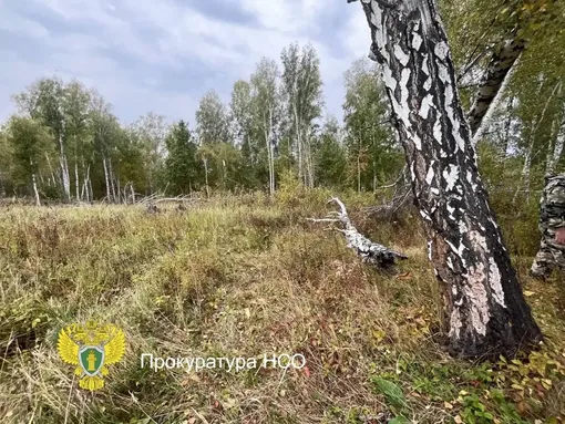 На месте трагедии На месте трагедии