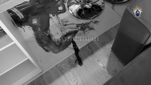 Мария Булгакова едва не погибла в свой день рождения