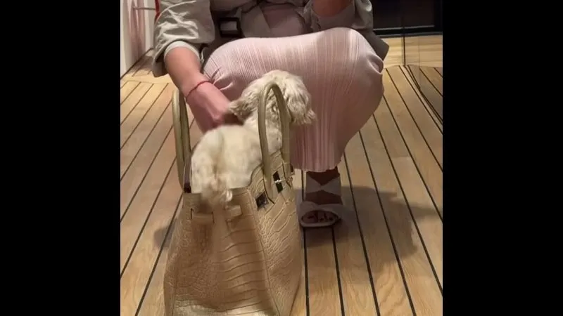 Нажми и смотри