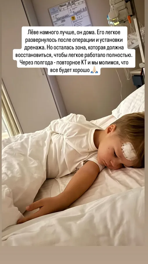 Лев восстанавливается после операции Лев восстанавливается после операции