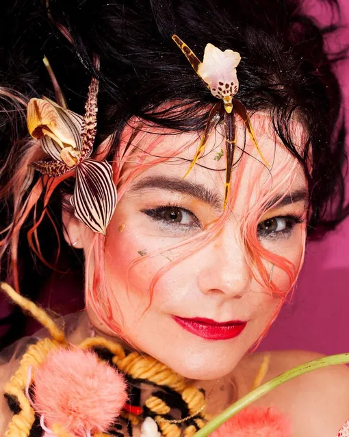 Бьорк Бьорк