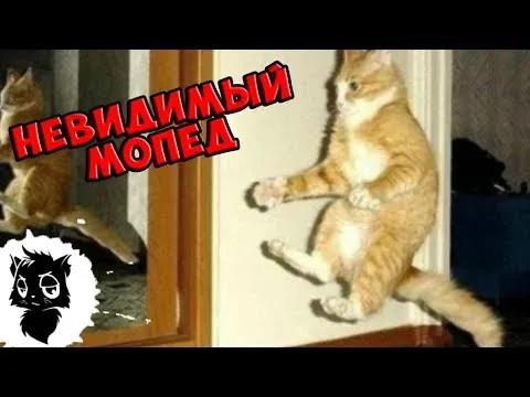 Нажми и смотри