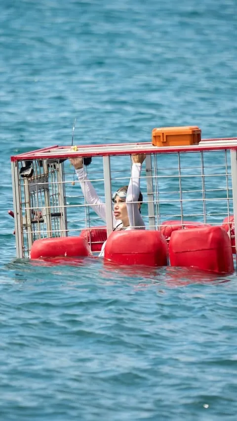 Айза смогла выбраться из клетки