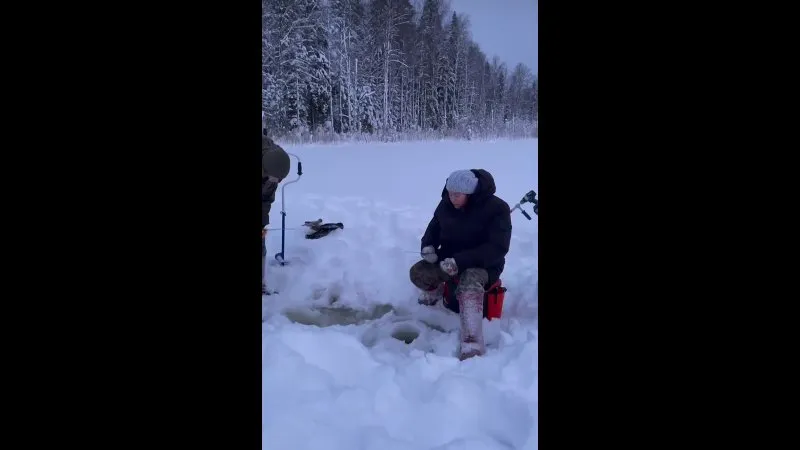 Нажми и смотри Нажми и смотри