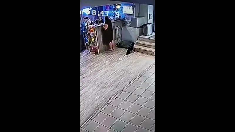Нажми и смотри Нажми и смотри
