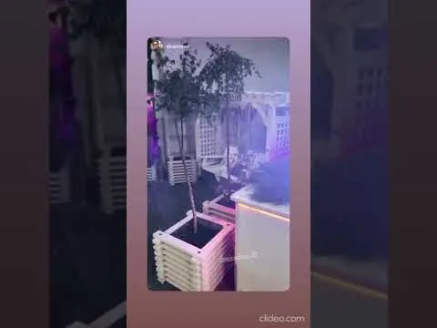 Нажми и смотри