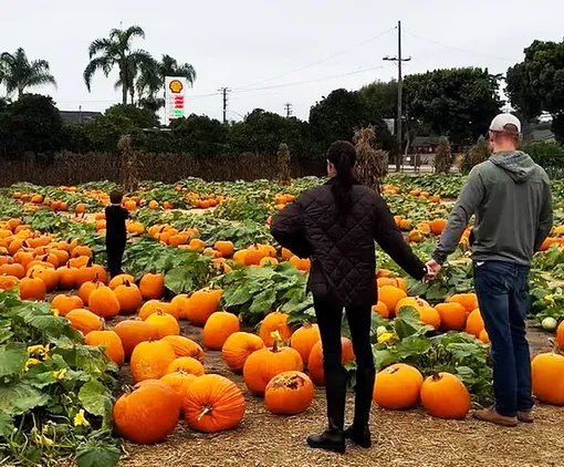 Меган Маркл и принц Гарри с сыном