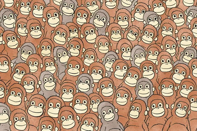 Тест: найди плюшевую обезьянку среди живых орангутангов — это удается только 7% людей!