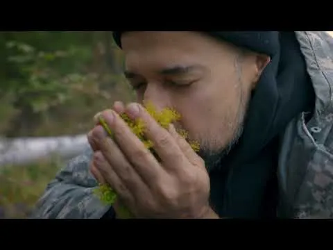 Нажми и смотри Нажми и смотри