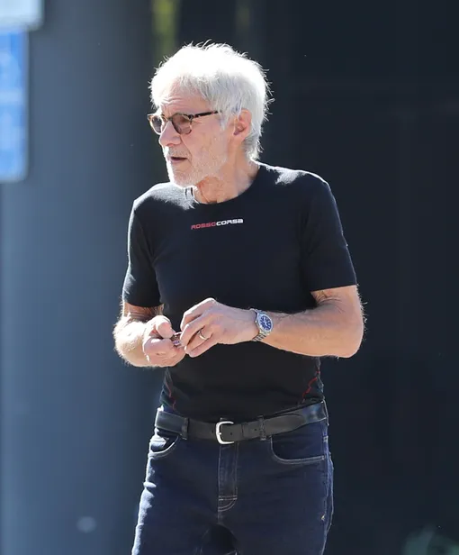 Харрисон Форд не любит светскую жизнь Харрисон Форд не любит светскую жизнь