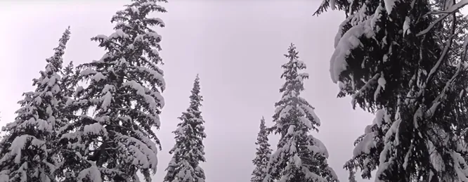 Из какого фильма этот кадр? Из какого фильма этот кадр?