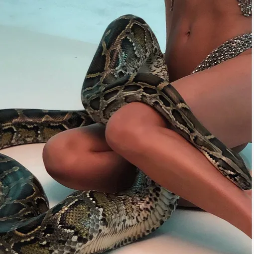 Шейк поделилась провокационным снимком